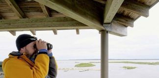 Orphaned polar bear cubs given little hope, Reports