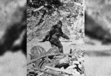 Lawmaker calls for Bigfoot ‘hunting season’ in Oklahoma, Report Lawmaker calls for Bigfoot ‘hunting season’ in Oklahoma, Report