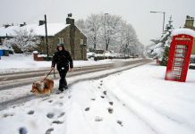 Britain braces for EIGHT INCHES of snow and 50mph gale-force winds, Report Britain braces for EIGHT INCHES of snow and 50mph gale-force winds, Report