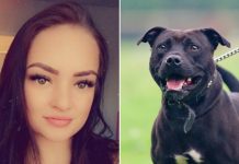 First picture of young woman mauled to death ‘by dog she rescued’ as she was in bed (Photo) First picture of young woman mauled to death ‘by dog she rescued’ as she was in bed (Photo)