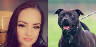 First picture of young woman mauled to death ‘by dog she rescued’ as she was in bed (Photo) First picture of young woman mauled to death ‘by dog she rescued’ as she was in bed (Photo)