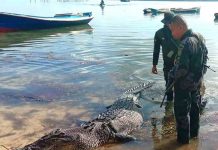 Hunt for crocodile as police searching for missing fisherman uncover human remains, Report Hunt for crocodile as police searching for missing fisherman uncover human remains, Report