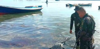 Hunt for crocodile as police searching for missing fisherman uncover human remains, Report Hunt for crocodile as police searching for missing fisherman uncover human remains, Report