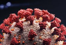 Kent migrant Covid variant on course to ‘sweep the world’, Report Kent migrant Covid variant on course to 'sweep the world', Report