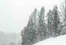 Met Office issues three days of weather warnings – blizzards and snow drifts as 8 ins forecast Met Office issues three days of weather warnings - blizzards and snow drifts as 8 ins forecast