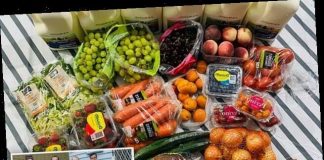 Mum-of-16 shows what ‘popping to the shops for bread and milk’ looks like for her family, Report