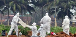 Nipah virus warning: Brain-swelling sickness with 75% death rate could spark next pandemic, Report Nipah virus warning: Brain-swelling sickness with 75% death rate could spark next pandemic, Report