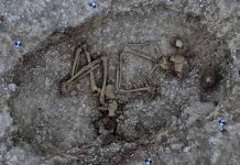 Stonehenge tunnel discovery: Ancient civilisation evidence found under A303 (Study) Stonehenge tunnel discovery: Ancient civilisation evidence found under A303 (Study)