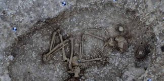 Stonehenge tunnel discovery: Ancient civilisation evidence found under A303 (Study) Stonehenge tunnel discovery: Ancient civilisation evidence found under A303 (Study)