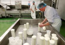 UK: Brexit shuts off EU market for English ‘truckle’ cheese producer UK: Brexit shuts off EU market for English ‘truckle’ cheese producer