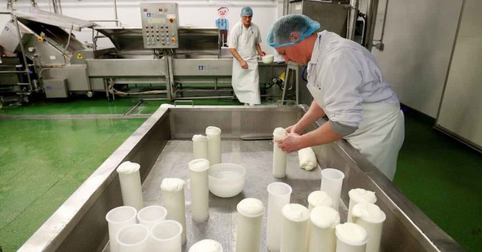 UK: Brexit shuts off EU market for English ‘truckle’ cheese producer
