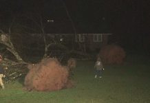 Coweta County Schools cancels classes for Friday after storm damage, Report Coweta County Schools cancels classes for Friday after storm damage, Report