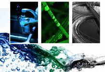 Take care of precious seasonal water flow, Researchers Say Take care of precious seasonal water flow, Researchers Say