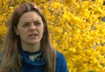 Brandi Levy: At Supreme Court, Mean Girls Meet 1st Amendment Brandi Levy: At Supreme Court, Mean Girls Meet 1st Amendment