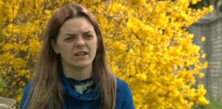 Brandi Levy: At Supreme Court, Mean Girls Meet 1st Amendment