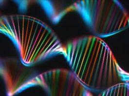 Evidence of DNA collection from air, According to Study