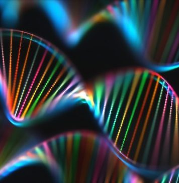 Evidence of DNA collection from air, According to Study