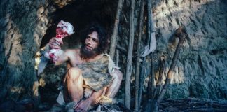 Stone Age humans were HYPERCARNIVORES and survived on mostly meat (Study)