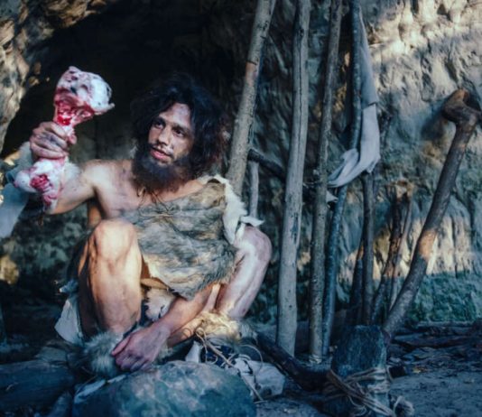 Stone Age humans were HYPERCARNIVORES and survived on mostly meat (Study)