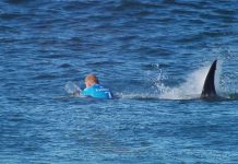 Chris Blowes: Surfer Wins Right to Keep Tooth from Shark Attack After Legal Battle Chris Blowes: Surfer Wins Right to Keep Tooth from Shark Attack After Legal Battle
