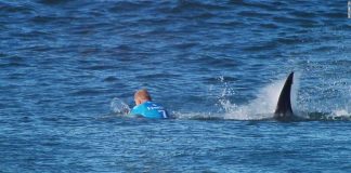 Chris Blowes: Surfer Wins Right to Keep Tooth from Shark Attack After Legal Battle Chris Blowes: Surfer Wins Right to Keep Tooth from Shark Attack After Legal Battle