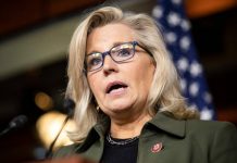 Cheney fires back at Michael Flynn over coup remark Cheney fires back at Michael Flynn over coup remark