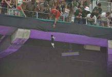 Hard Rock Stadium cat Video: Miami Hurricanes fans use flag to catch cat Hard Rock Stadium cat: Miami Hurricanes fans use flag to catch cat